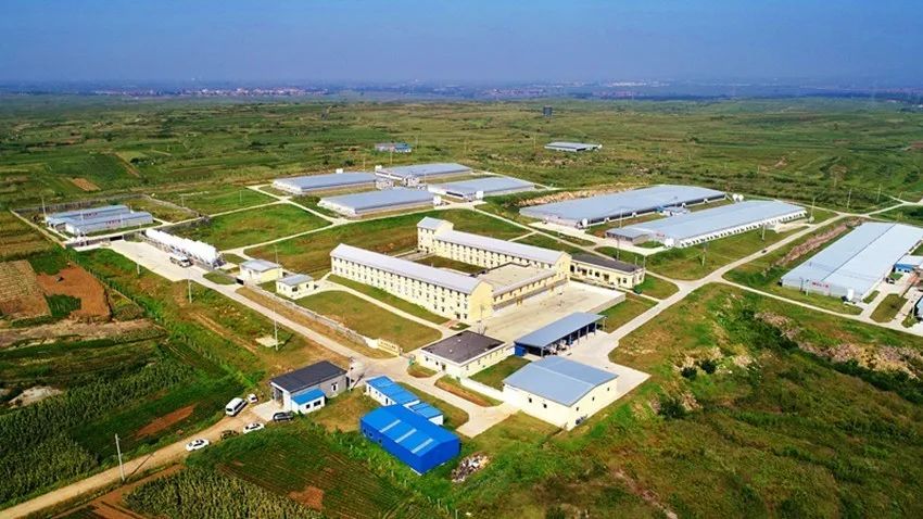 ����ϣ����williamhill(�й�)���Ĺٷ���վ