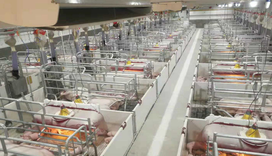 ����ϣ����williamhill(�й�)���Ĺٷ���վ