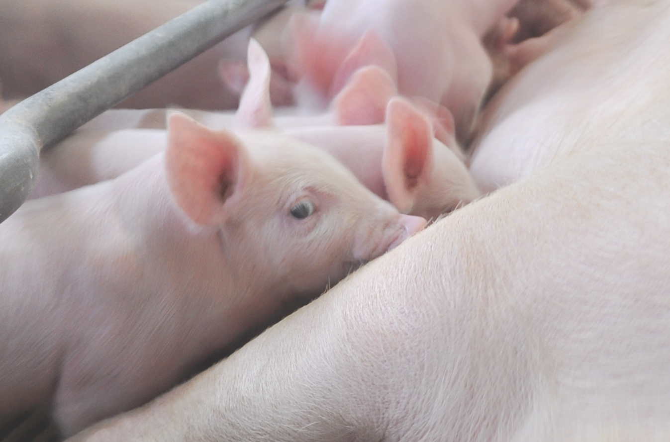 ����ϣ����williamhill(�й�)���Ĺٷ���վ