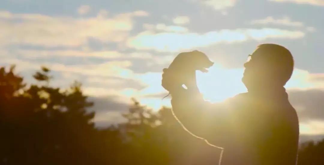 ����ϣ����williamhill(�й�)���Ĺٷ���վ