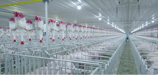 ����ϣ����williamhill(�й�)���Ĺٷ���վ