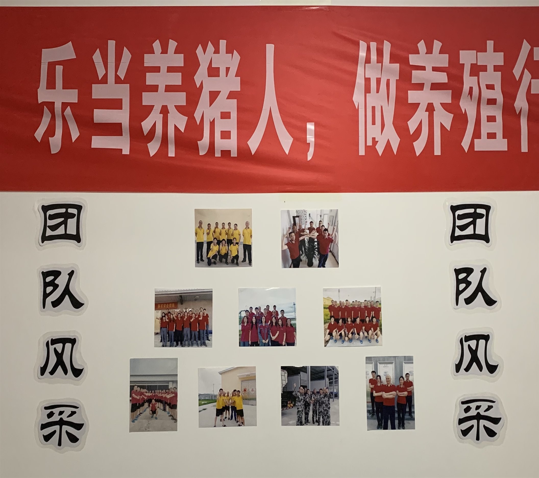 ����ϣ����williamhill(�й�)���Ĺٷ���վ