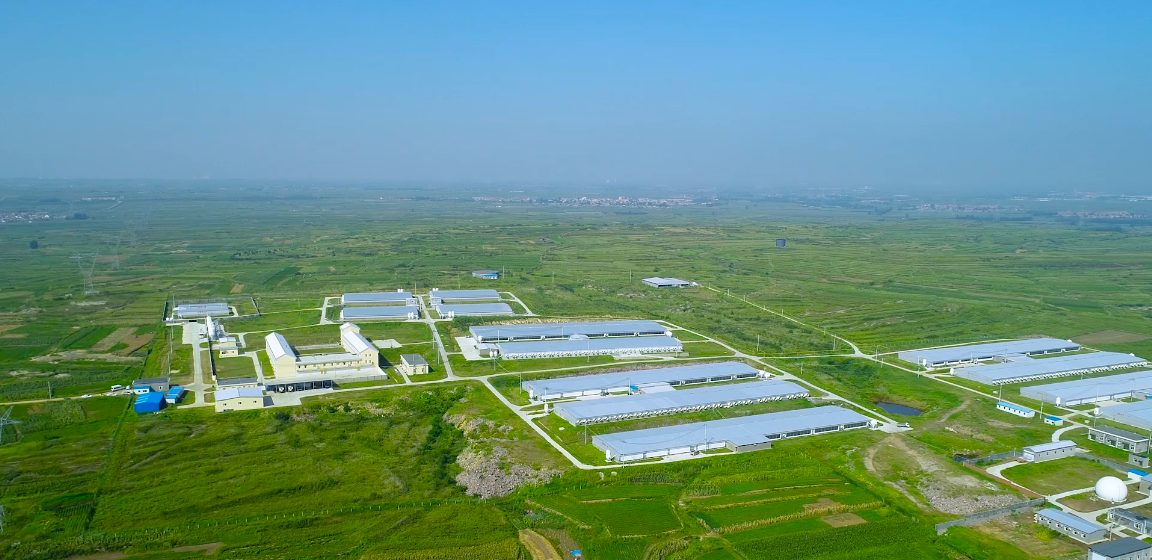 ����ϣ����williamhill(�й�)���Ĺٷ���վ